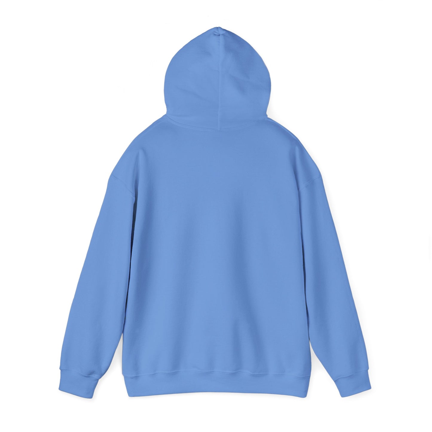 SLNCE - Frostbite Hoodie